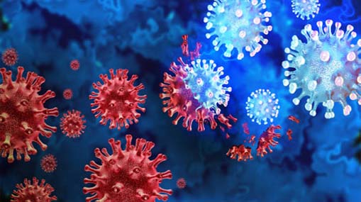 Coronavirus : వెయ్యికిపైగా జేఎన్.1 కేసులు.. రాష్ట్రాలకు కేంద్రం అలర్ట్..