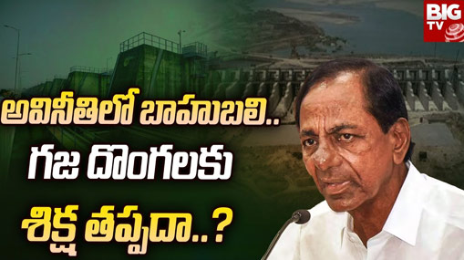 CAG on Kaleswaram: కాళేశ్వరం దొంగల్ని నిలదీసిన మంత్రులు.. త్వరలోనే జ్యుడిషియరీ ఎంక్వైరీ..