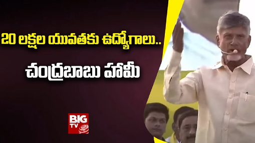 Chandrababu Naidu Promise To AP Youth : 20 లక్షల యువతకు ఉద్యోగాలు.. చంద్రబాబు హామీ 