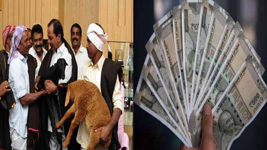 Sheep Distribution Scam : నిధుల గోల్ మాల్.. అవినీతి ‘గొర్రెల’ను వేటాడుతున్న ఏసీబీ..