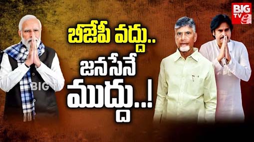 TDP Janasena Alliance : బీజేపీ వద్దు.. జనసేనే ముద్దు.. పొత్తులపై చంద్రబాబు!