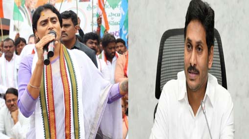 YS Sharmila : బీజేపీతో కంటికి కనిపించని పొత్తు.. వైసీపీపై షర్మిల విమర్శనాస్త్రాలు..