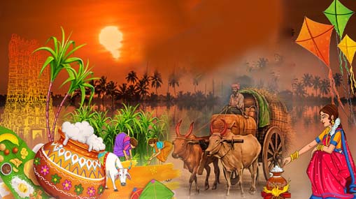 Makar Sankranti 2024 : శాంతిని, కాంతిని తెచ్చే సంక్రాంతి..!