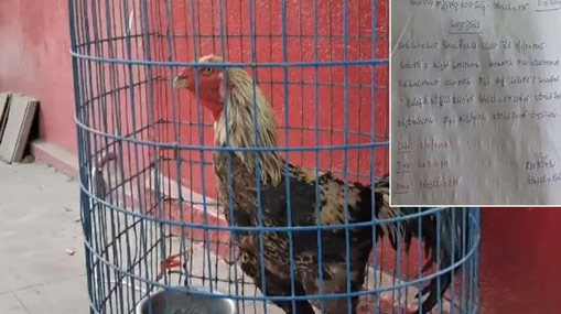 Rooster Auction: బస్సులో పందెంకోడి.. వేలానికి పెట్టిన ఆర్టీసీ.. లాస్ట్ మినిట్ లో ట్విస్ట్!