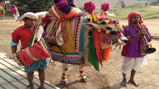 Sankranti Gangiredlu : సంక్రాంతి ప్రత్యేకం.. డూడూ బసవన్నలు.. కనుమరుగవుతున్న సంప్రదాయాలు