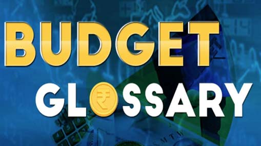 Budget Glossary