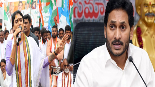 YS Sharmila : వైఎస్ కుటుంబం చీలడానికి జగనే కారణం.. దేవుడు, విజయమ్మే సాక్ష్యం..