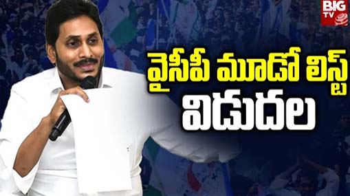 YCP Third List : వైసీపీ మూడో జాబితా విడుదల.. విజయవాడ ఎంపీ టికెట్ ఎవరికంటే..?