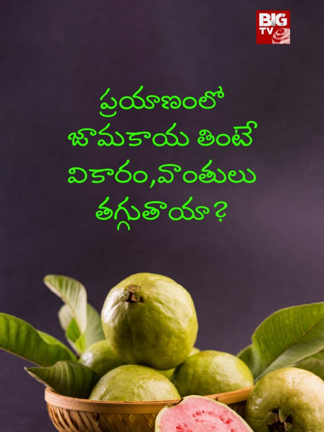 Guava Fruit Benefits