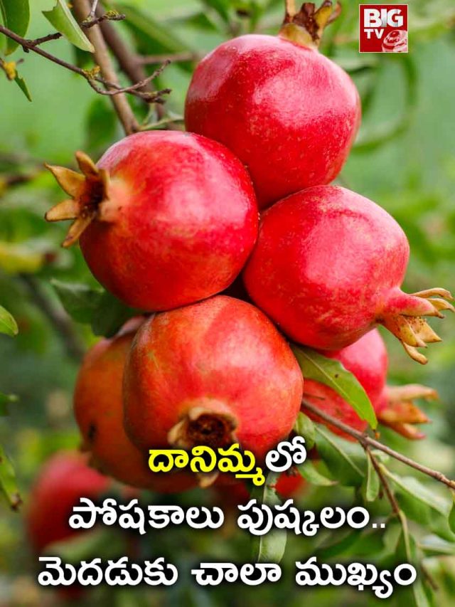 Pomegranates for brain health