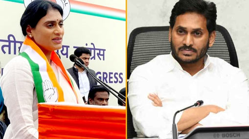 YSR Family Dispute : ‘కుటుంబాన్ని చీల్చిందే జగన్’.. తారా స్థాయికి అన్నా చెల్లెళ్ల మాటల యుద్దం..