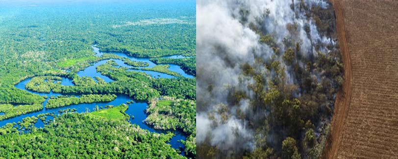 Deforestation in Brazil