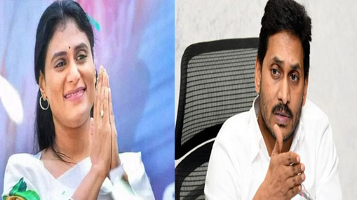 YS Sharmila : రాజన్న బాణంలా దూసుకొస్తున్న షర్మిల..! వైసీపీలో గుబులు రేగుతోందా..?