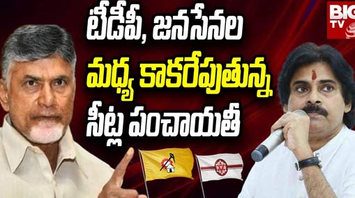 Krishna District : టీడీపీ, జనసేనల మధ్య కాకరేపుతున్న సీట్ల పంచాయతీ