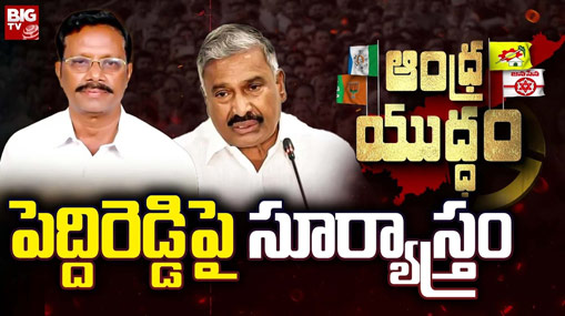 MLA Koneti Adimulam : పెద్దిరెడ్డిపై సత్యవేడు ఎమ్మెల్యే ఫైర్.. కోనేటికి టీడీపీ టికెట్?