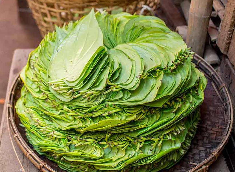 Betel Leaf : రెండు తమలపాకులు నమిలితే..!