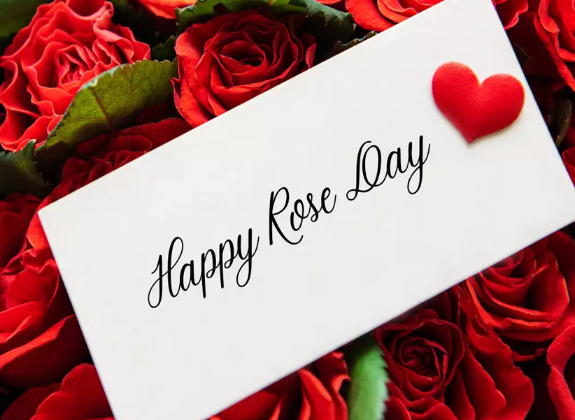 Rose Day : హ్యపీ రోజ్ డే ప్రియా.. వివిధ రంగుల రోజాలకు అర్థం ఇదే..!