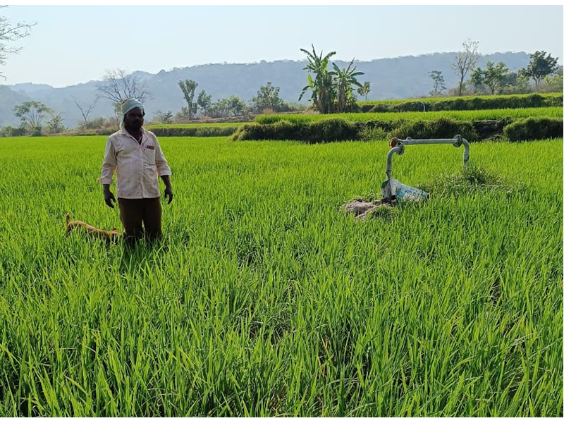 Rachakonda Farmer: కుమారి ఆంటీని ఆదుకున్న ప్రజల సిఎం.. రైతు కష్టంపై స్పందిస్తారా?