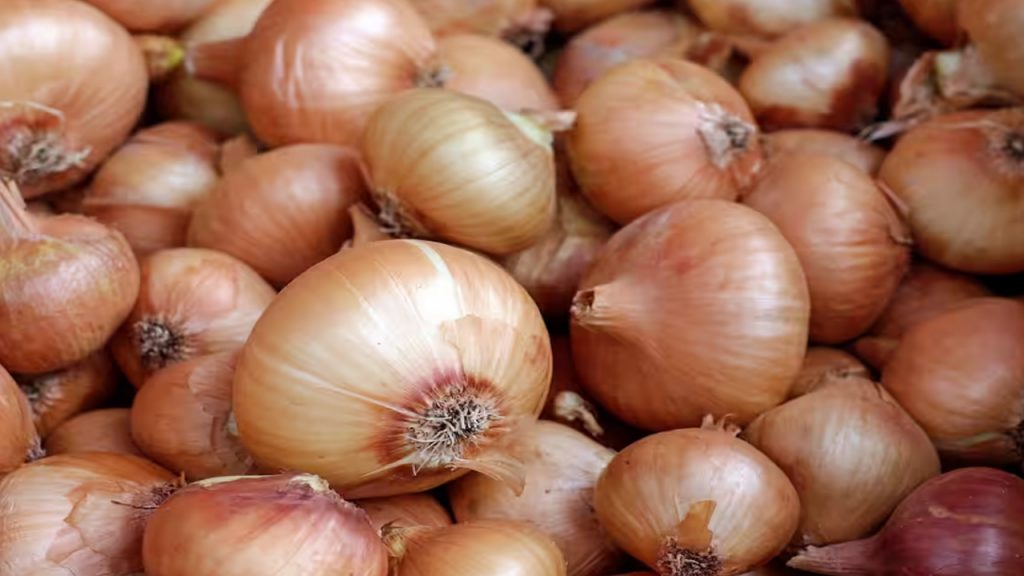 Ban On Onion Exports