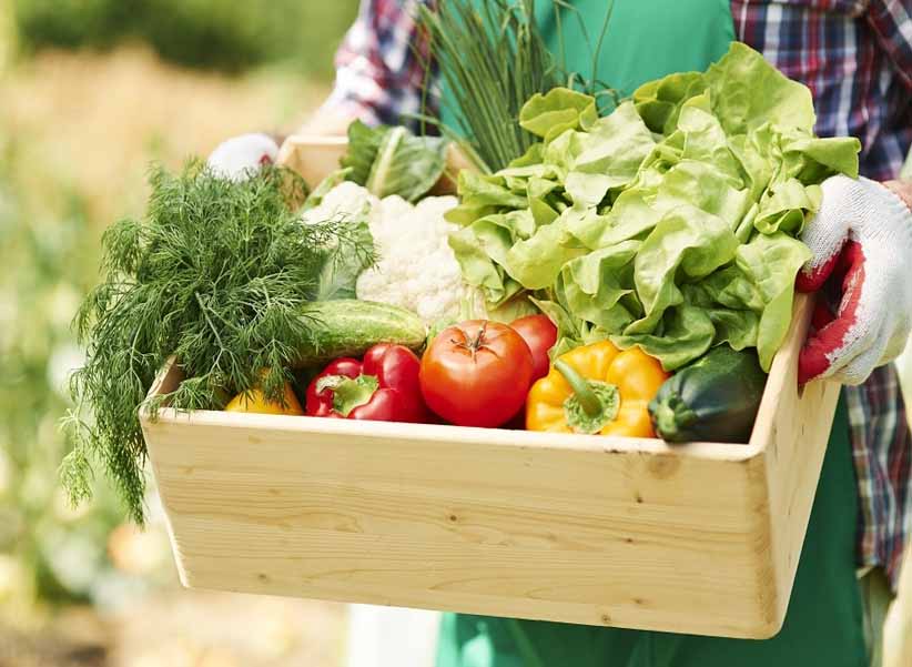 Organic Produce Sale: ఆర్గానిక్ ఉత్పత్తులు.. ఇలా అమ్మితే లాభసాటి..