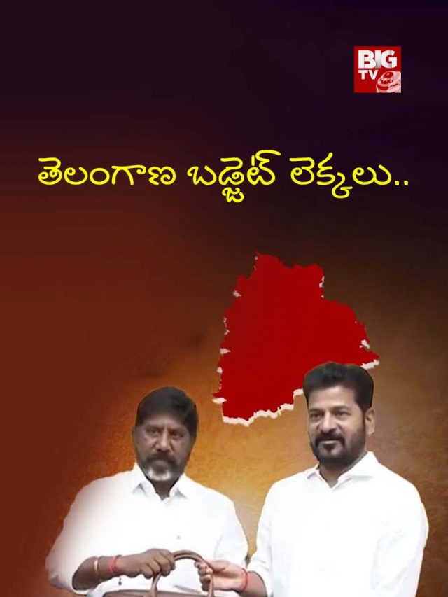 తెలంగాణ బడ్జెట్ లెక్కలు..