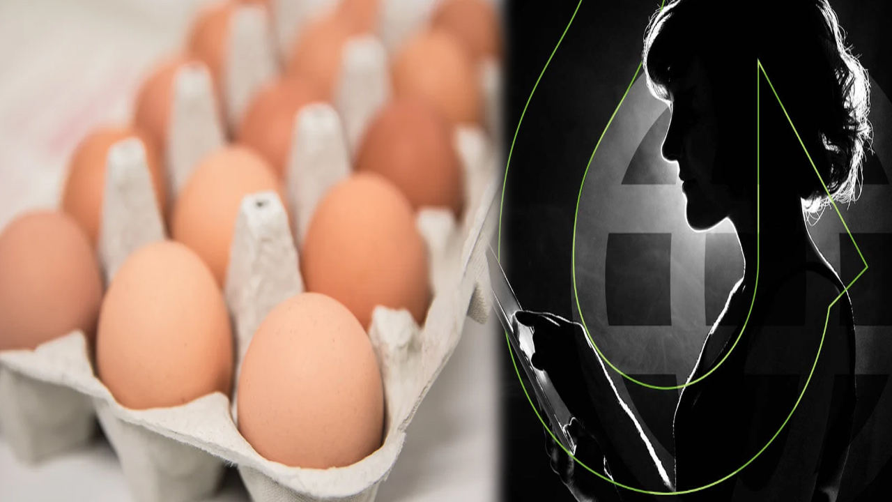 cyber fraud through eggs