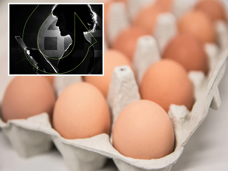 Rs 48,000 for 4 Dozen Eggs: రూ.48 వేలను స్వాహా చేసిన 4 డజన్ల కోడిగుడ్లు.. ఎలాగంటే?