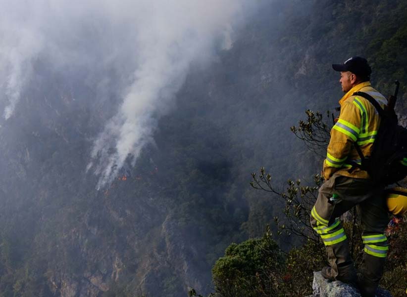 Chile Wildfire Effect on World: కార్చిచ్చులతో కలప బుగ్గి.. ప్రపంచదేశాలపై ప్రభావం..!