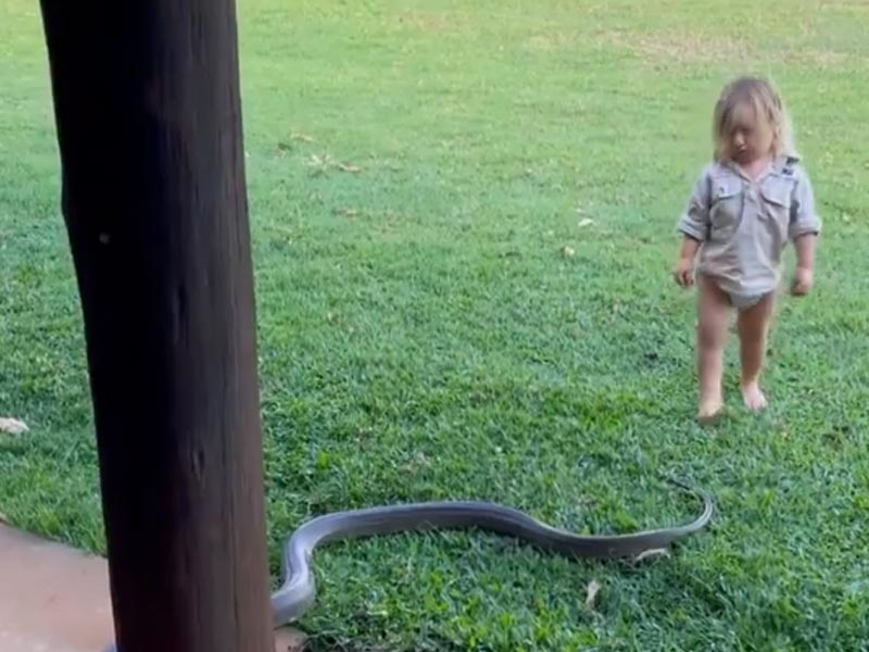 Kid Playing with Snake: ఏమి ధైర్యంరా బుడ్డోడా.. 7 అడుగుల పాముతో ఆటలా..?