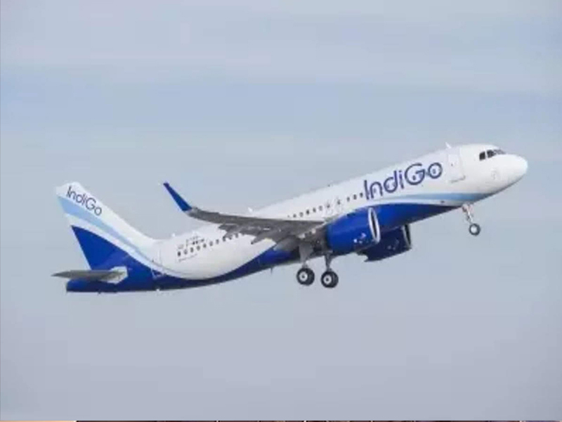 cockroaches on Indigo Airlines flight: ఇండిగో ఎయిర్‌లైన్స్ ఫ్లైట్ లో బొద్దింకలు వీడియో వైరల్