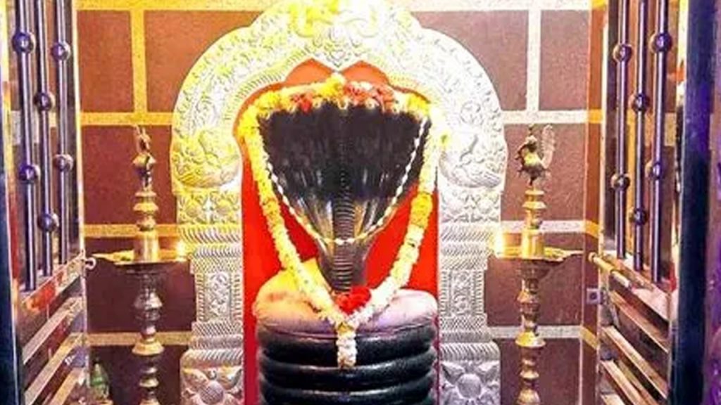 nagoba jatara