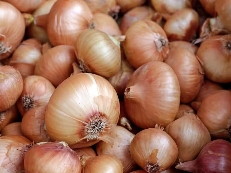 Ban On Onion Exports Extended: ఉల్లి ఎగుమతులపై మార్చి 31 వరకు నిషేధం.. స్పష్టం చేసిన కేంద్రం..