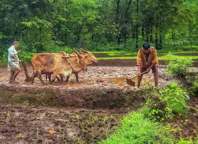 PM- KISAN : పీఎం కిసాన్‌ పథకం.. నిధులపెంపుపై కేంద్రం క్లారిటీ..