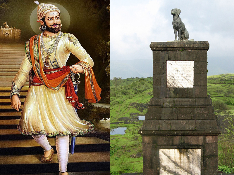 Chhatrapati Shivaji Pet Dog: ఛత్రపతి శివాజీ పెంపుడు కుక్క గొప్పతనం తెలుసా..?