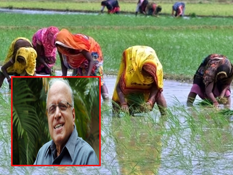 MS Swaminathan Commission Report: ఎంఎస్‌పీపై స్వామినాథన్ కమిషన్ ఏం చెప్పింది.. నాటి యూపీఏ నేటి ఇండియా కూటమి మాటేంటి?