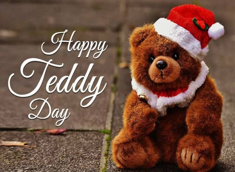 Valentine’s Week – Teddy Day: టెడ్డీ డే.. రంగుల టెడ్డీబేర్‌ల ప్రాముఖ్యత ఇదే!