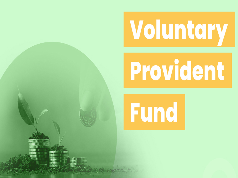 Voluntary Provident Fund: లక్షల్లో పన్ను ఆదా.. ఈ ప్రభుత్వ స్కీమ్‌తో అదిరిపోయే బెనిఫిట్స్