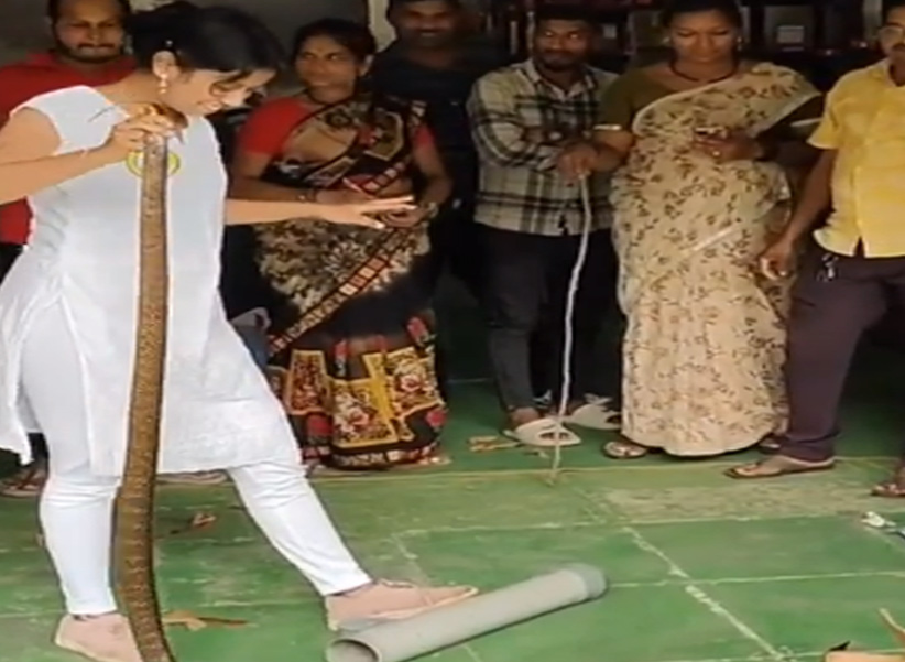 Girl Catch Snake: ఒంటిచేత్తో పామును పట్టేసిన అమ్మాయి..! ఏ మాత్రం భయం లేకుండా..?