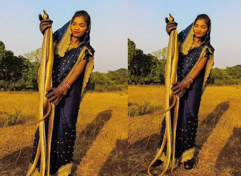 Snake Viral Video : పాములతో కెమెరాకి ఫోజులు.. వైరల్ వీడియో..!