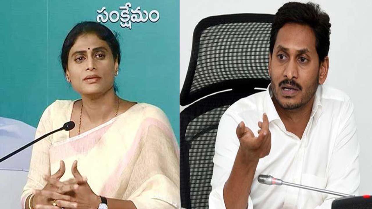 YS Sharmila Dharna : ఏపీ ప్రత్యేక హోదాపై షర్మిల ఫోకస్.. శరద్ పవార్, తిరుచ్చిశివతో భేటీ