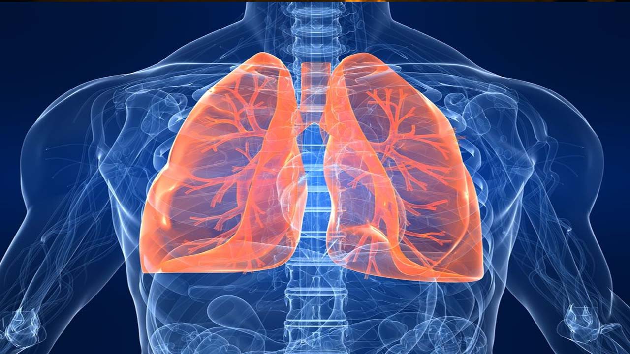 Check For Lungs problems with Good Tips