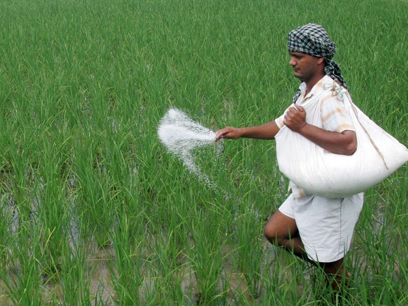 Fertiliser Subsidy : ఖరీఫ్ సీజన్.. రైతులకు ఎరువులపై భారీ సబ్సిడీ..