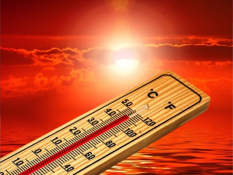 Heat Waves: వచ్చే మూడు రోజులు రాష్ట్రంలో వడగాల్పులు.. ఈ జిల్లాలకు IMD హెచ్చరిక!