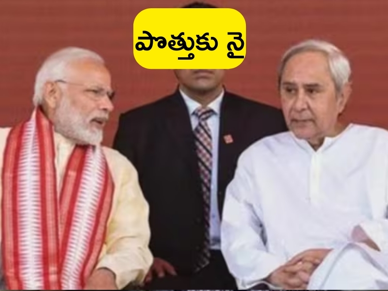 Elections 2024: ఒడిశాలో ఒంటరిగానే పోటీ.. బీజేడీతో పొత్తు లేదన్న బీజేపీ స్టేట్ చీఫ్..