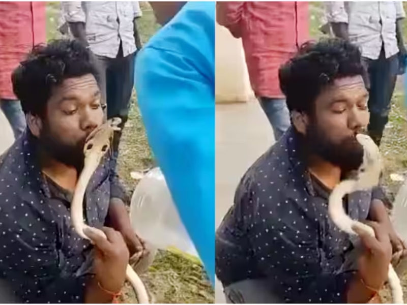 Snake Bites Man On Lips : వీడేంటి ఇలా ఉన్నాడు.. పాముతో లిప్‌లాక్!