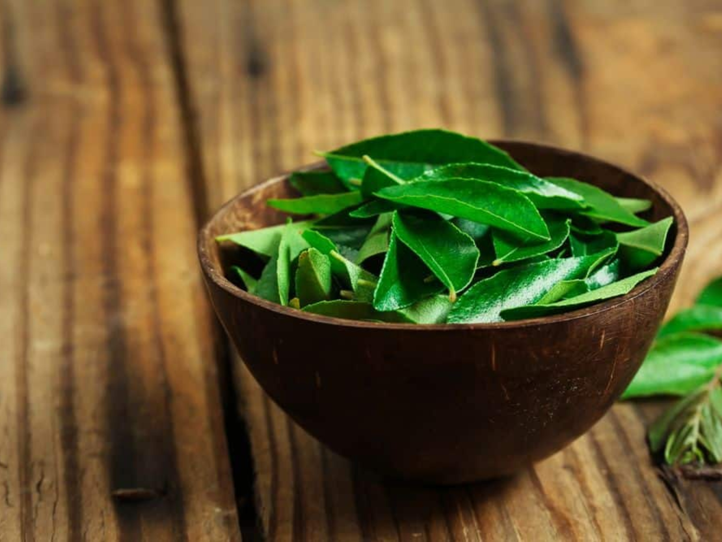 Curry Leaves Benefits : కరివేపాకు.. ఉదయాన్నే ఖాళీ కడుపుతో ఈ నీరు తాగితే ఉంటది గురూ!