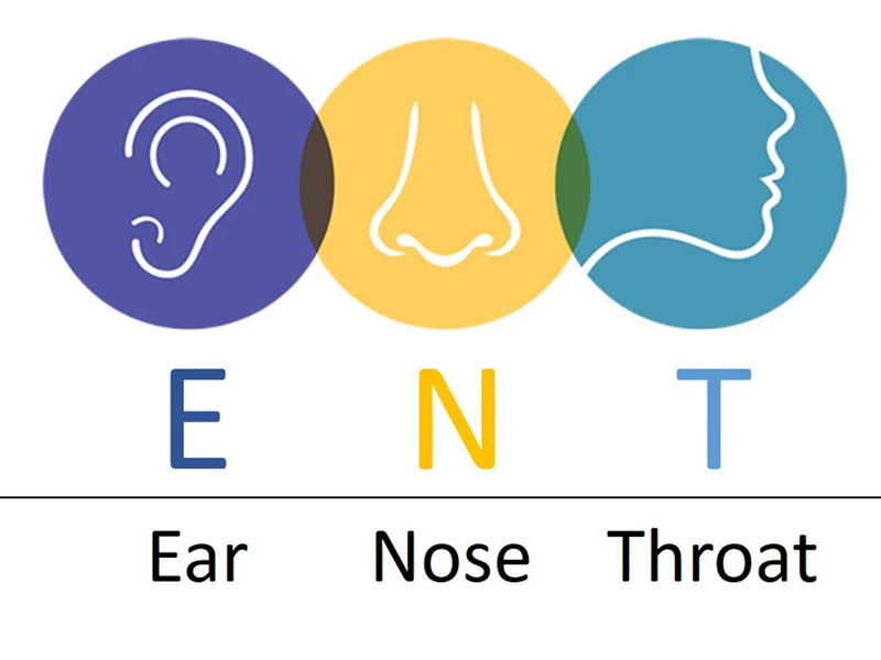 ENT Health : ముక్కు, గొంతు, చెవులు.. ఆరోగ్యంగా ఉండాలంటే ఇవి పాటించండి!