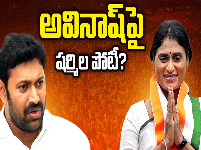 Y. S. Sharmila: కడప పార్లమెంటు పై కాంగ్రెస్ కన్ను.. అవినాష్ రెడ్డిపై షర్మిల పోటీ?