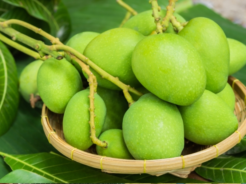 Raw Mango Health Benefits: పచ్చి మామిడికాయతో ఎన్ని ఆరోగ్య ప్రయోజనాలు ఉన్నాయో తెలుసా..?