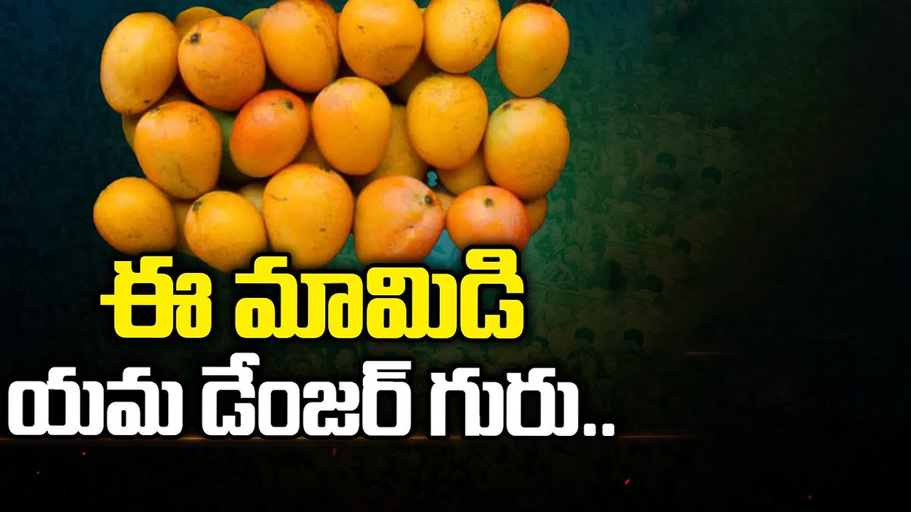 Chemical Carbide Mango Fruits